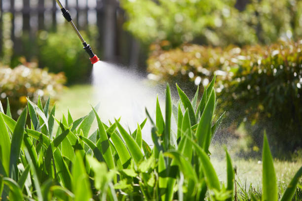 Tamper-Resistant Bait Stations for Rodents in Oakboro