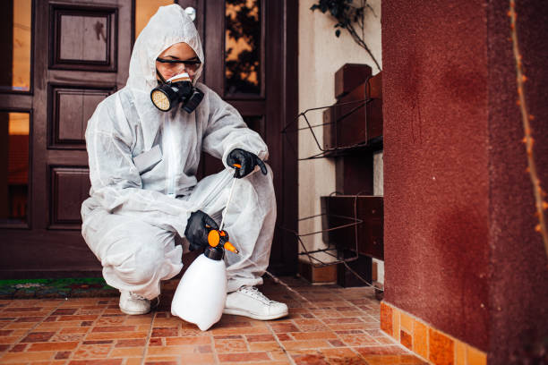 Attic and Crawl Space Rodent Treatment in Oakboro