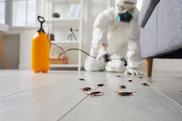 Commercial Rodent Management in Oakboro